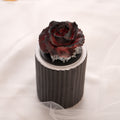 Jewel Case,Jewelry Storage Box