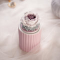 Jewel Case,Jewelry Storage Box